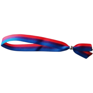 PRIDE - PULSERA BISEXUAL