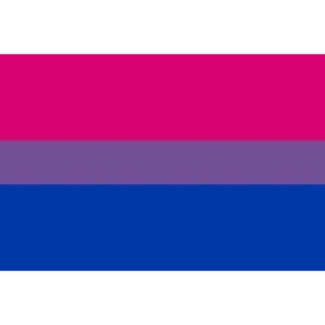 PRIDE - BANDERA 90 X 150 BIXESUAL