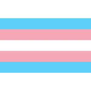 PRIDE - BANDERA 90 X 150 TRANSEXUAL